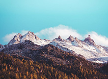 干货满满！惠特摩尔夏日苦练扣篮依旧劲爆 三分投射能力见涨！